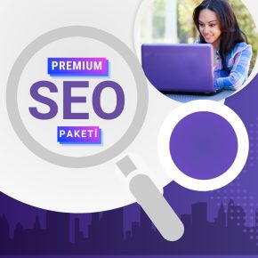 Premium Seo Paketi