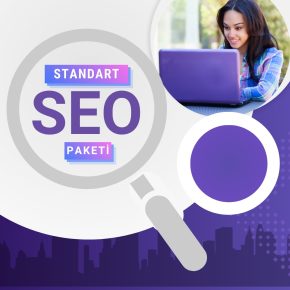 Standart Paket Seo Paketi